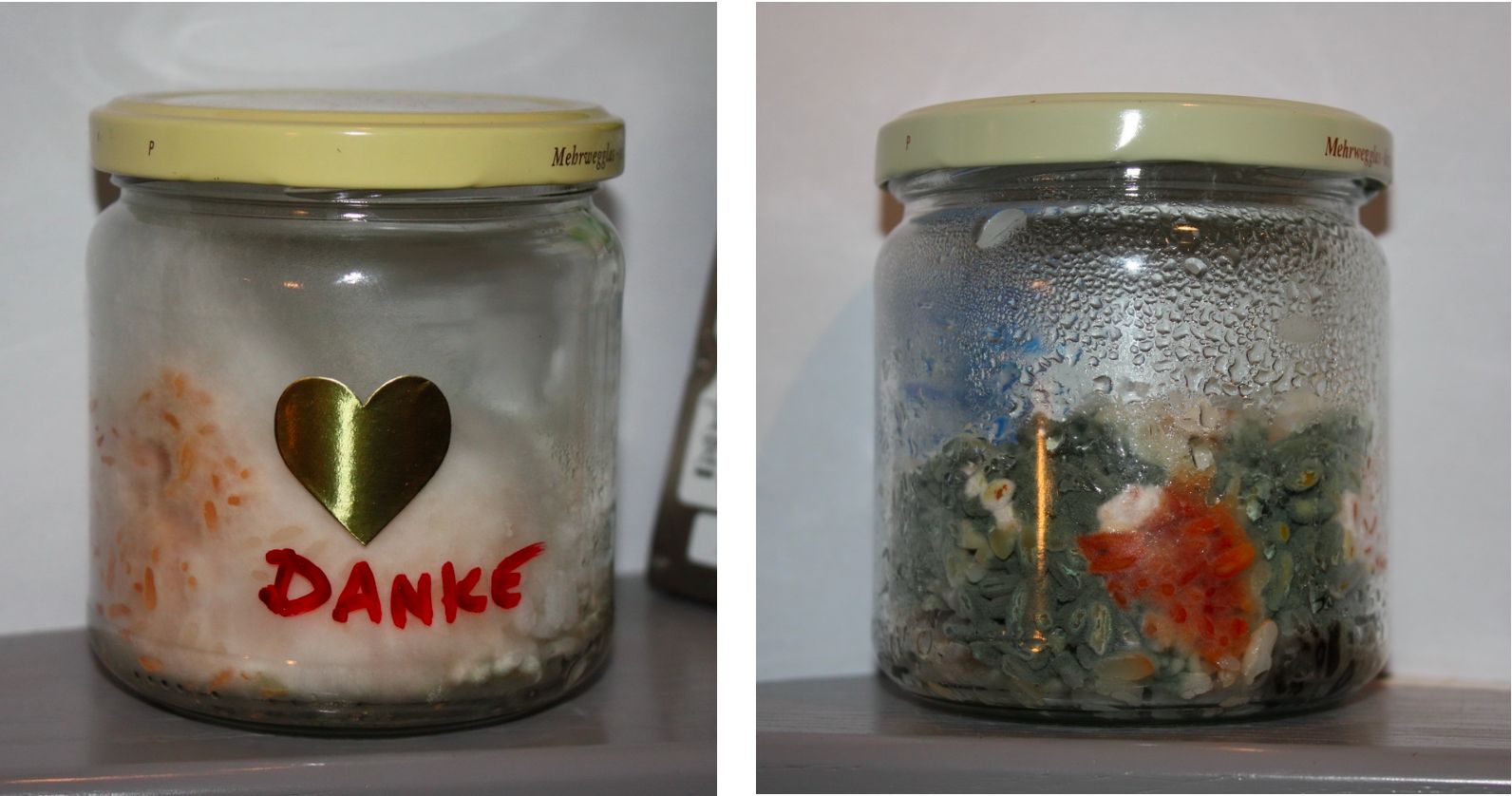 Reisexperiment mit liebevollen Gedanken – Danke vs. Ignoranz